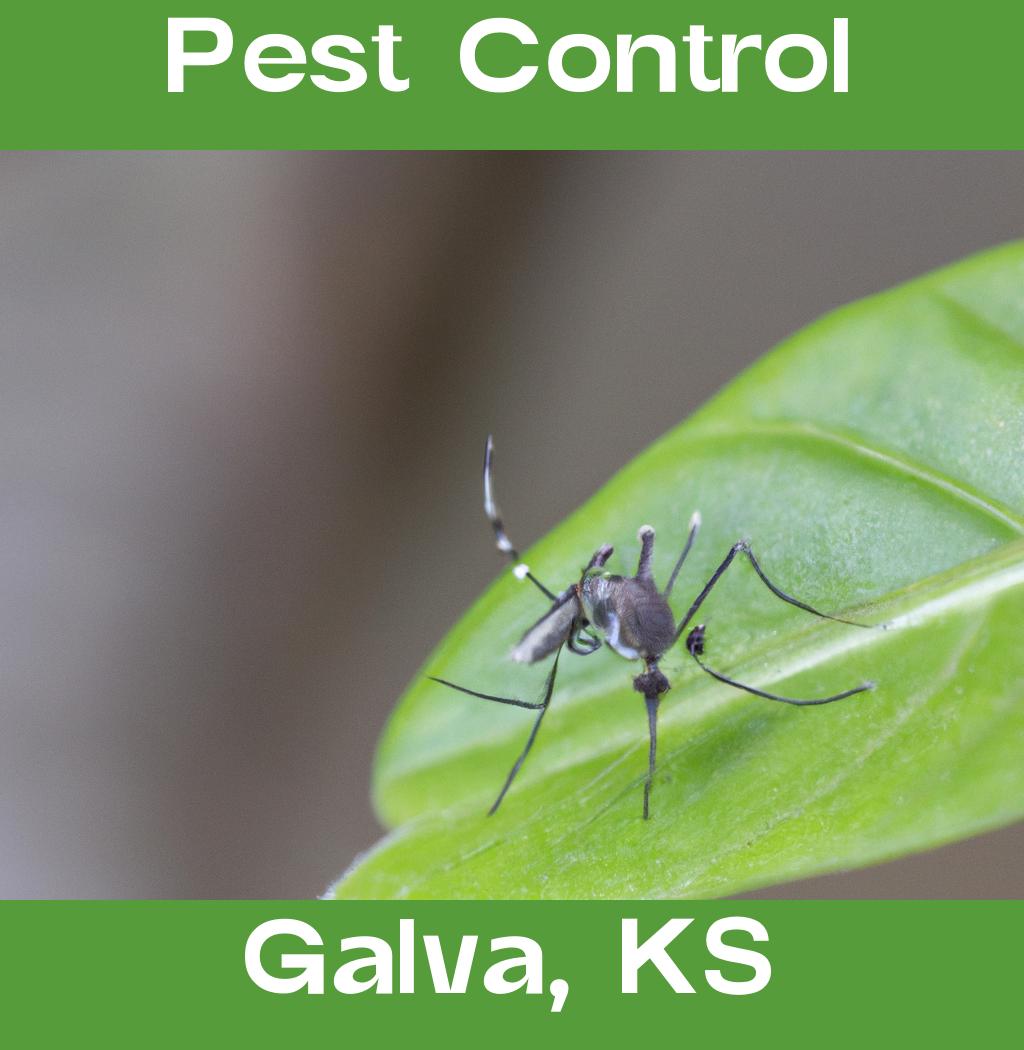 pest control in Galva Kansas