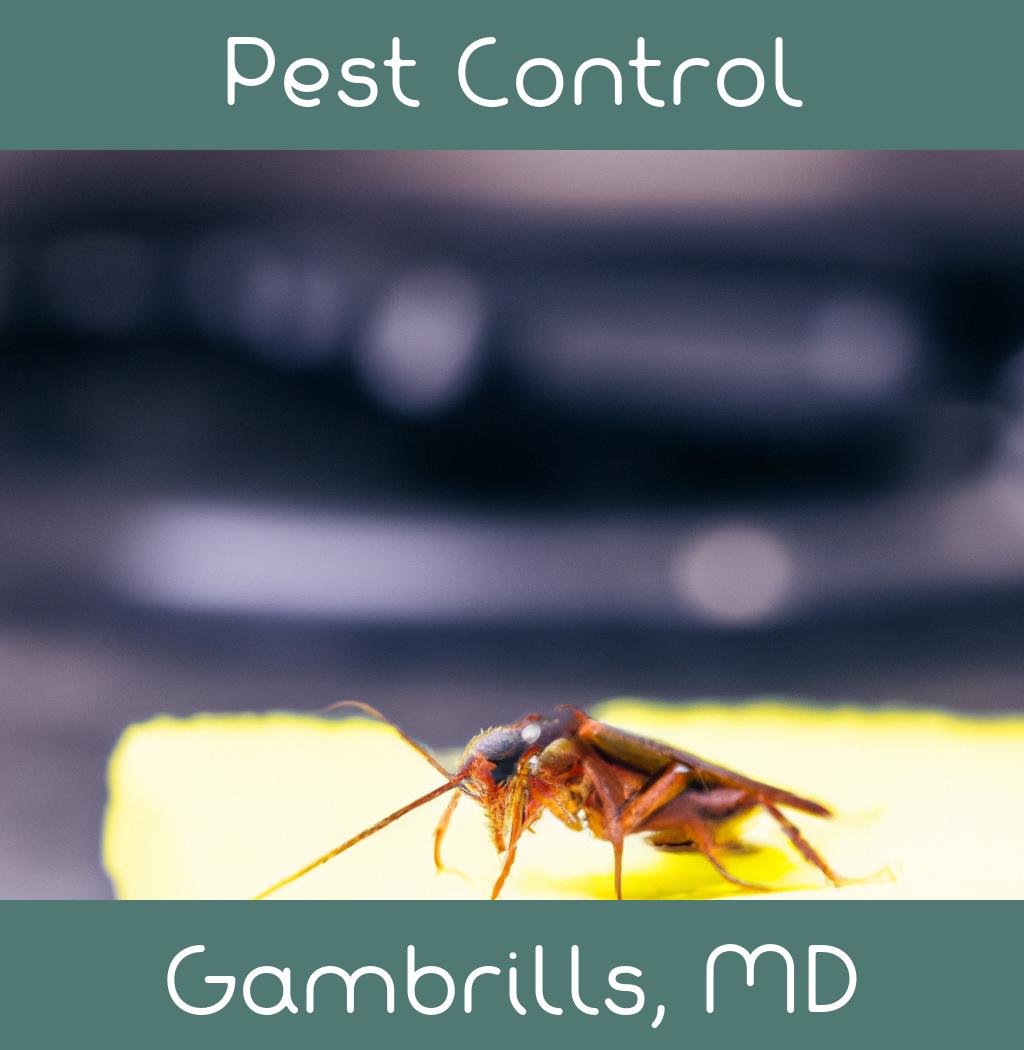 pest control in Gambrills Maryland