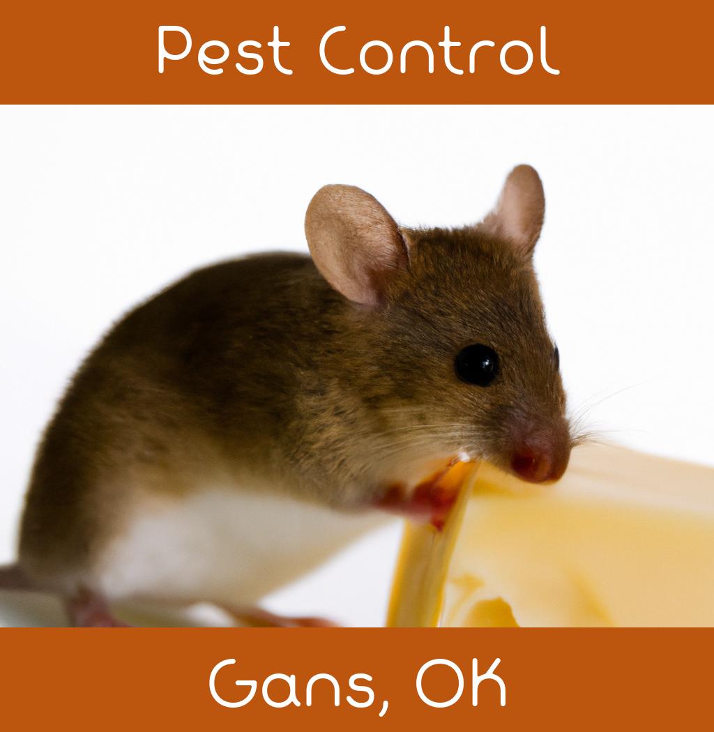 pest control in Gans Oklahoma