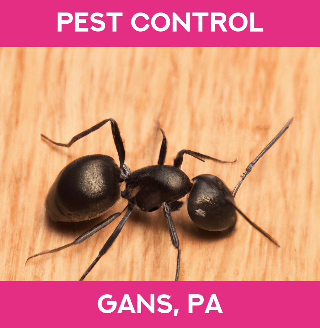 pest control in Gans Pennsylvania