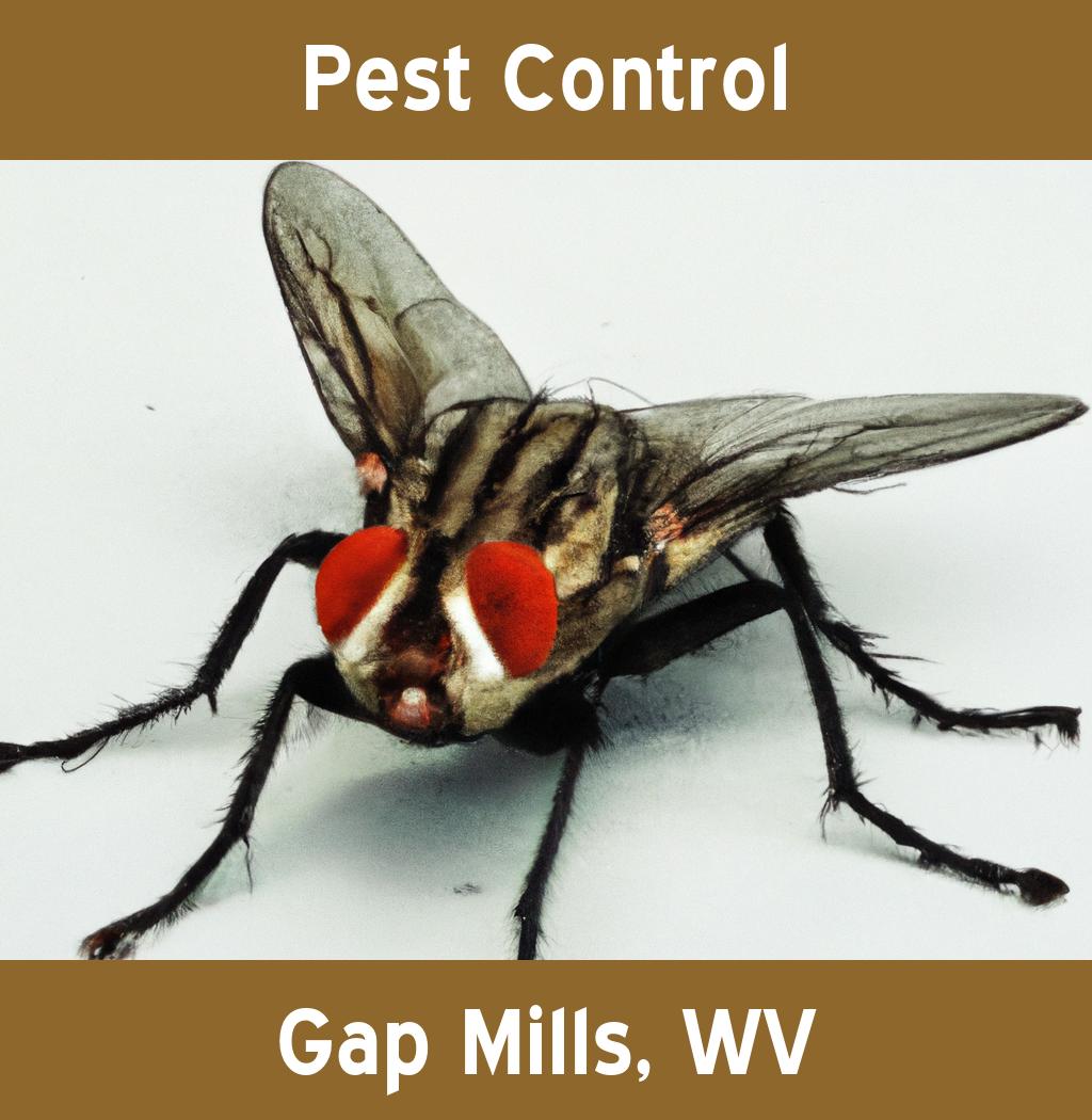 pest control in Gap Mills West Virginia