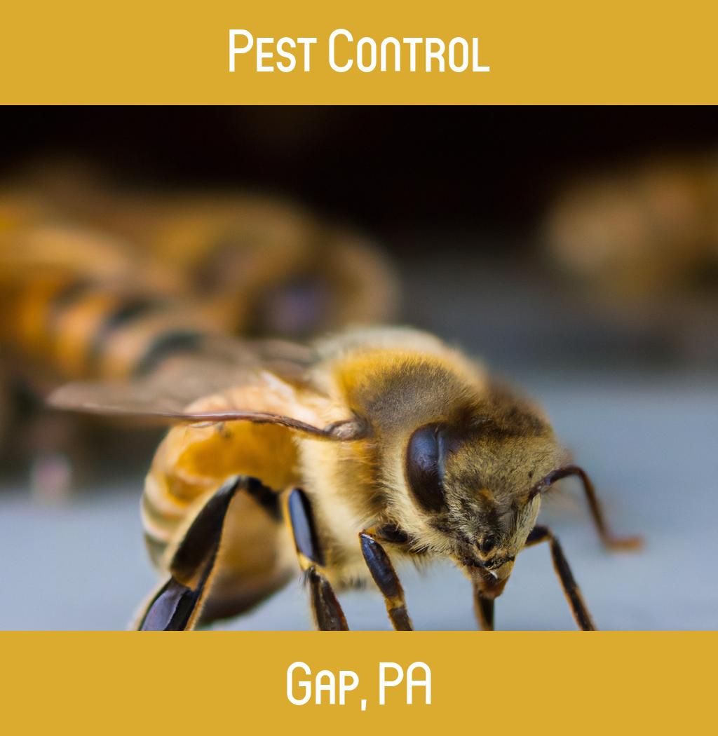 pest control in Gap Pennsylvania