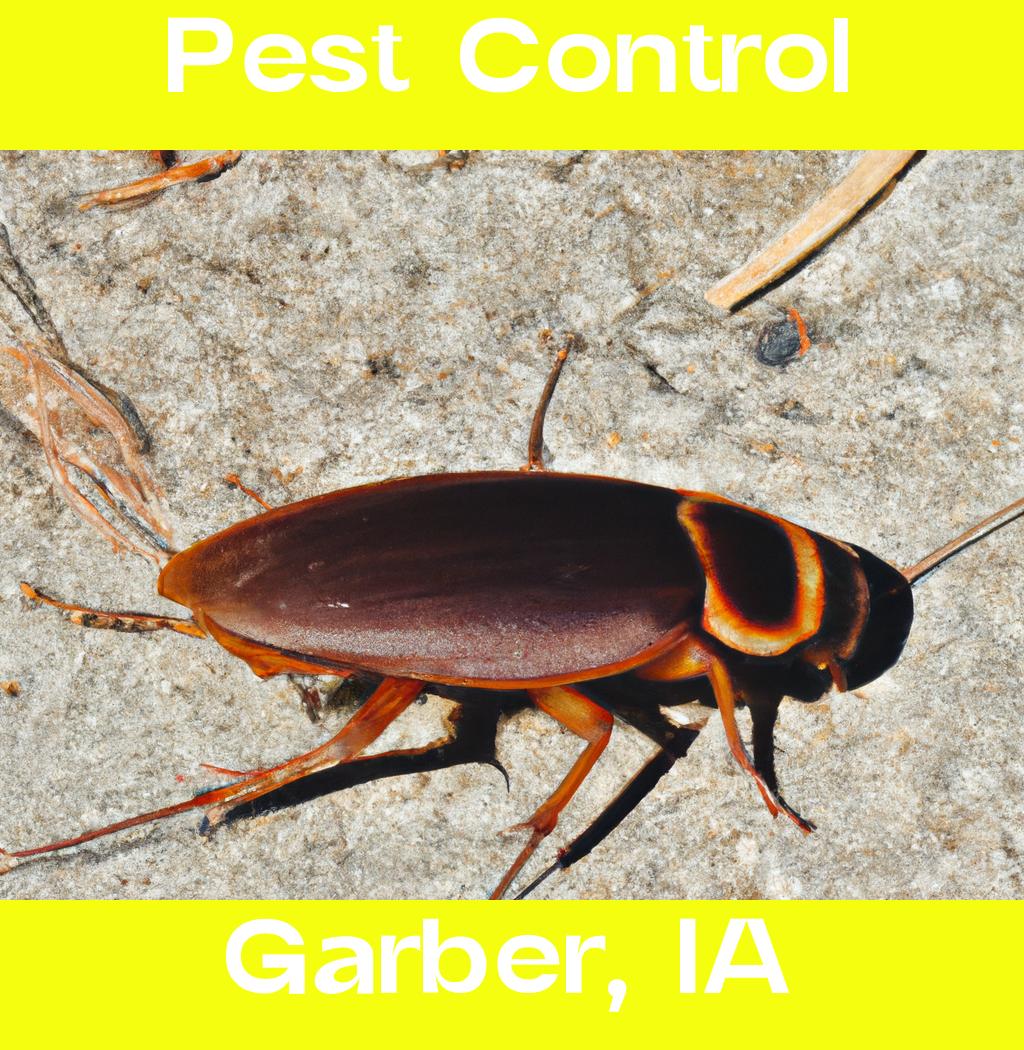 pest control in Garber Iowa