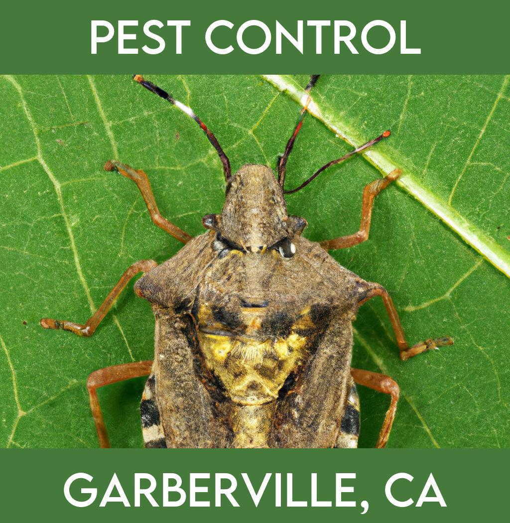 pest control in Garberville California