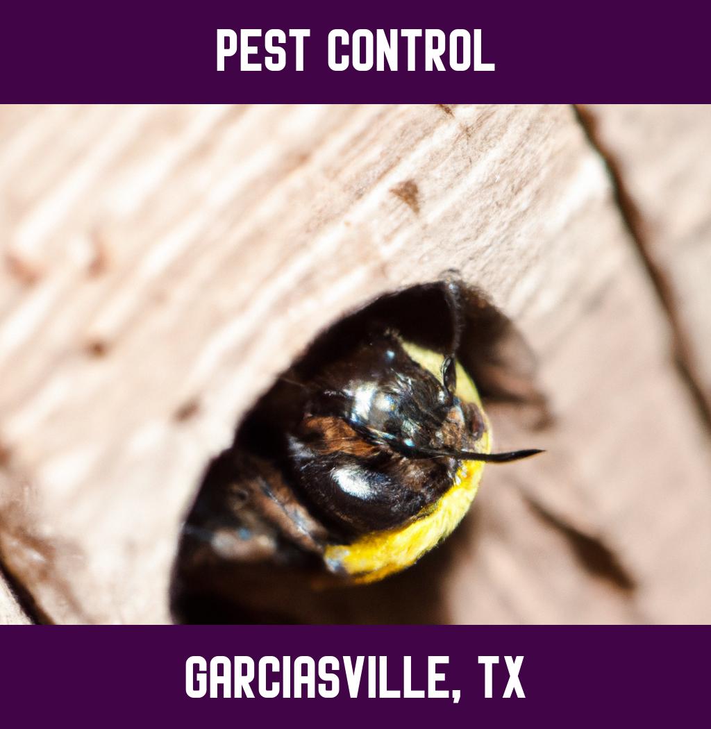 pest control in Garciasville Texas