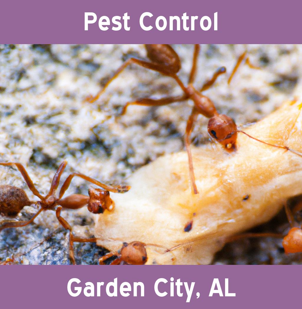 pest control in Garden City Alabama