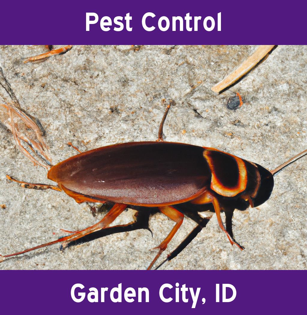 pest control in Garden City Idaho