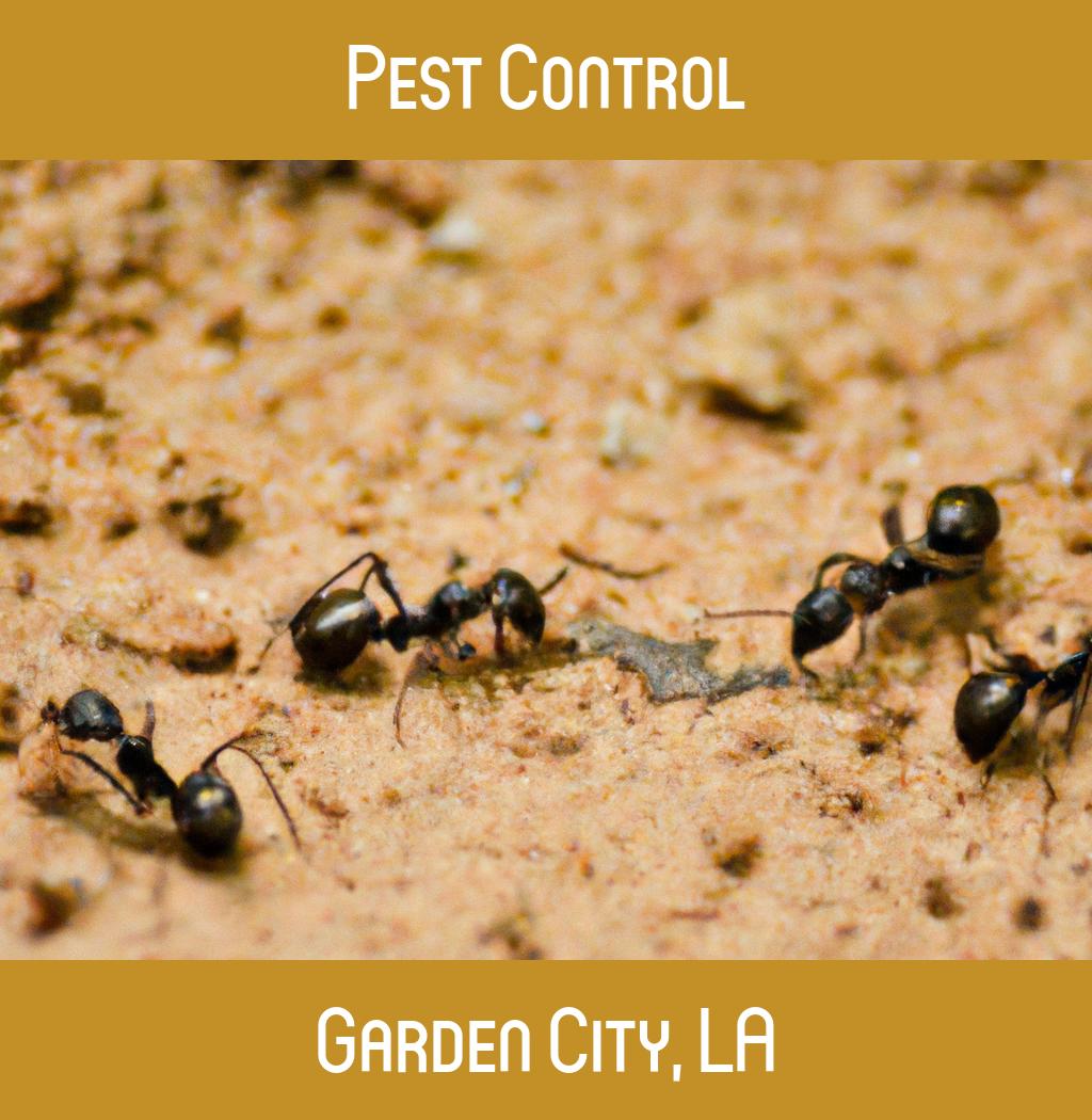 pest control in Garden City Louisiana