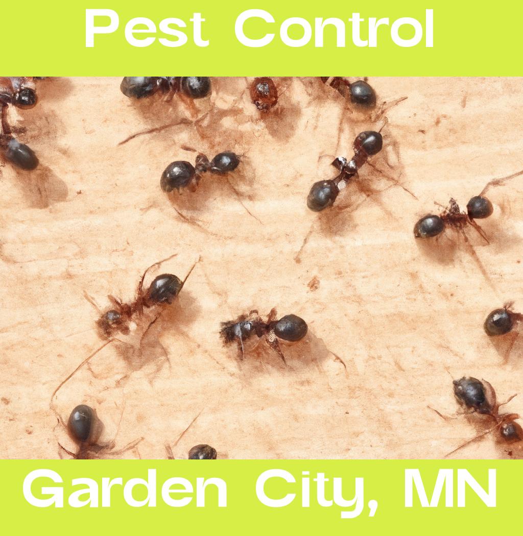 pest control in Garden City Minnesota