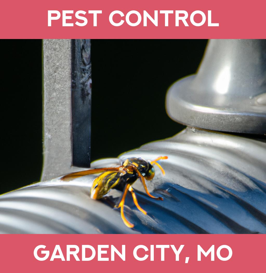 pest control in Garden City Missouri