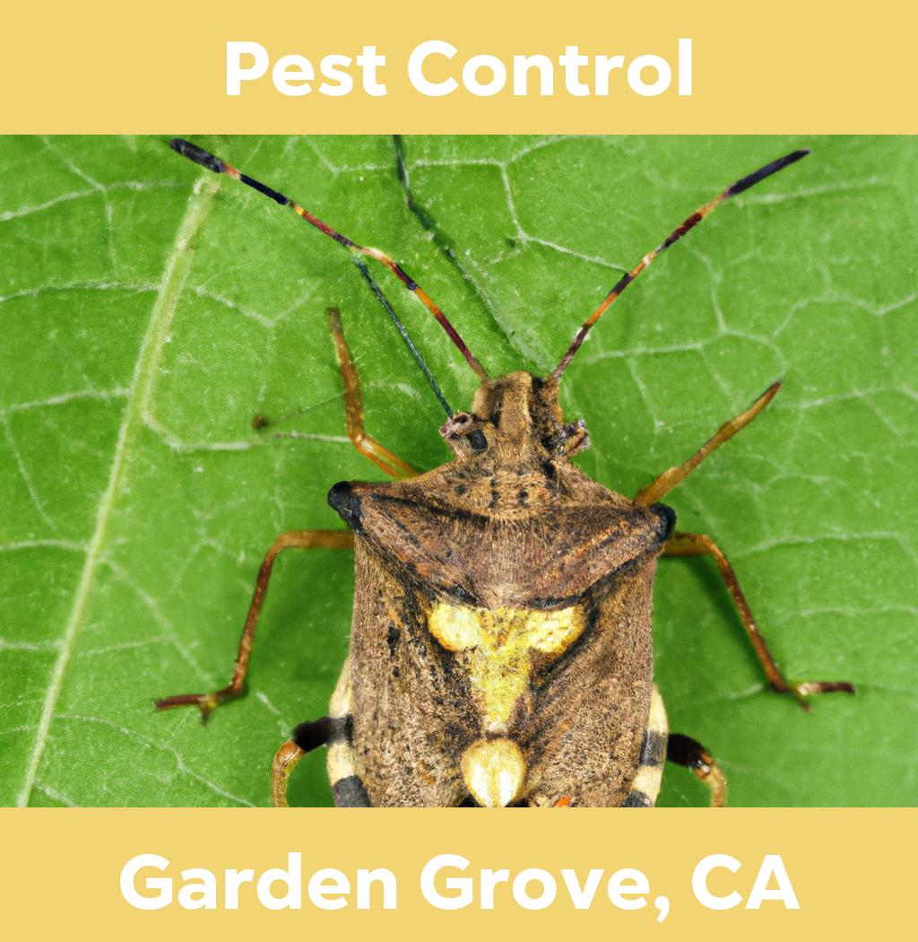 pest control in Garden Grove California