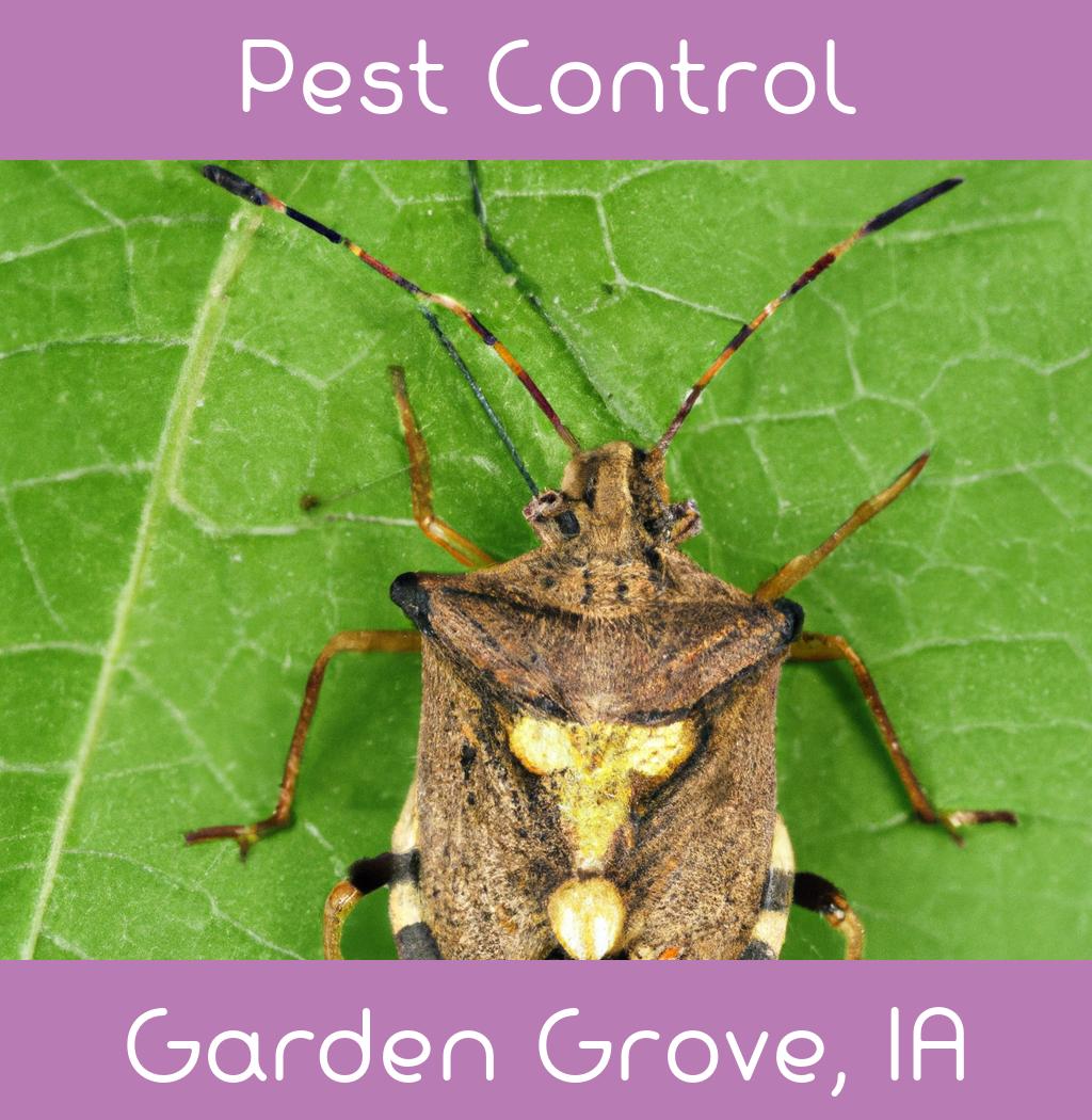 pest control in Garden Grove Iowa