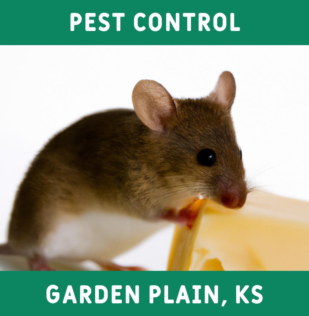 pest control in Garden Plain Kansas