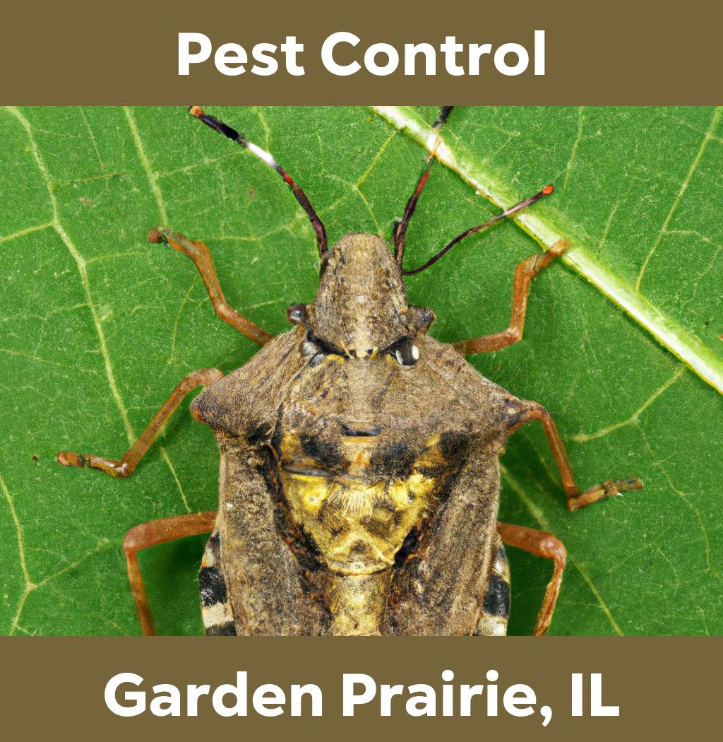 pest control in Garden Prairie Illinois