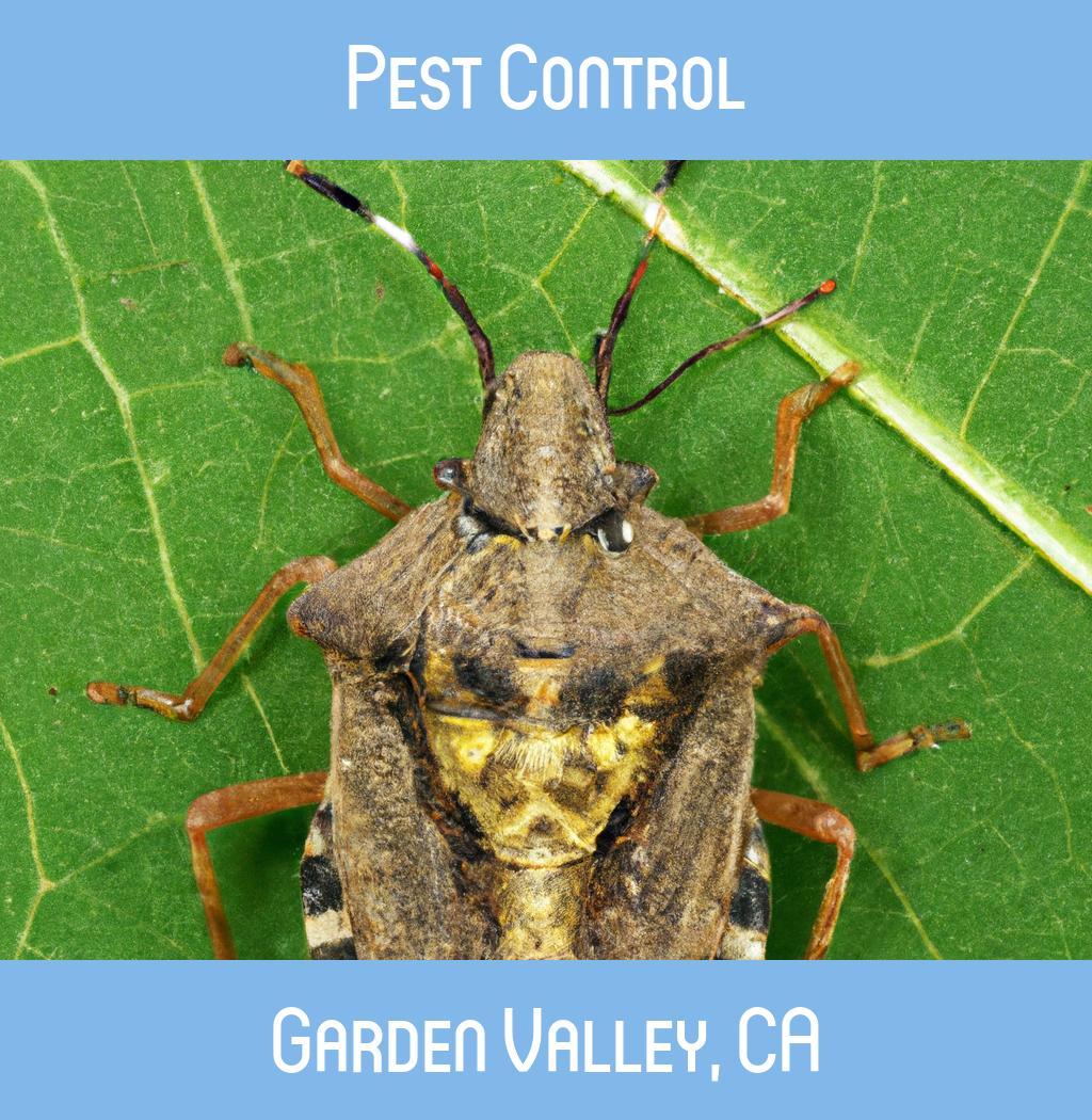 pest control in Garden Valley California