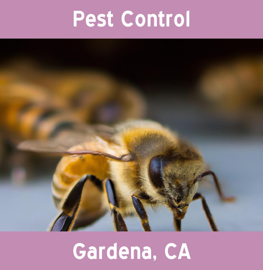 pest control in Gardena California