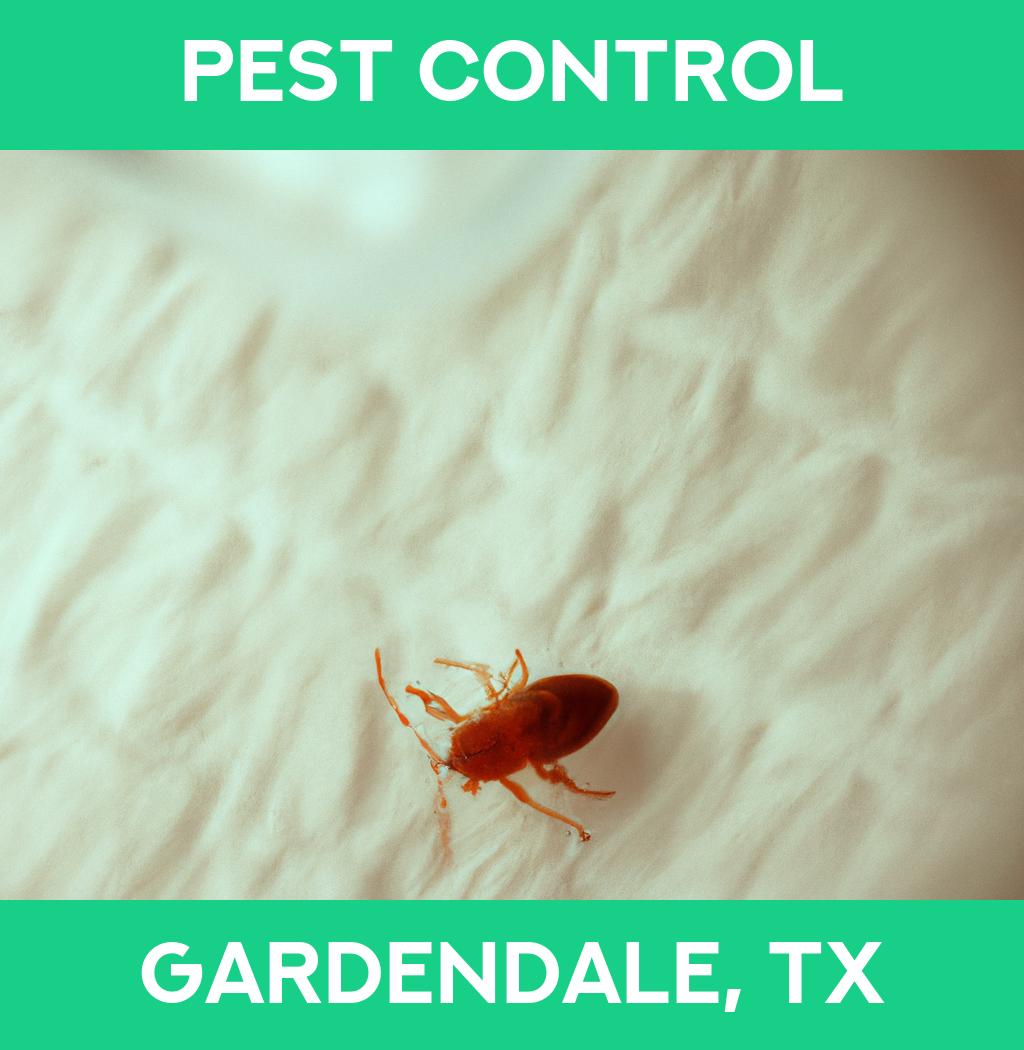 pest control in Gardendale Texas