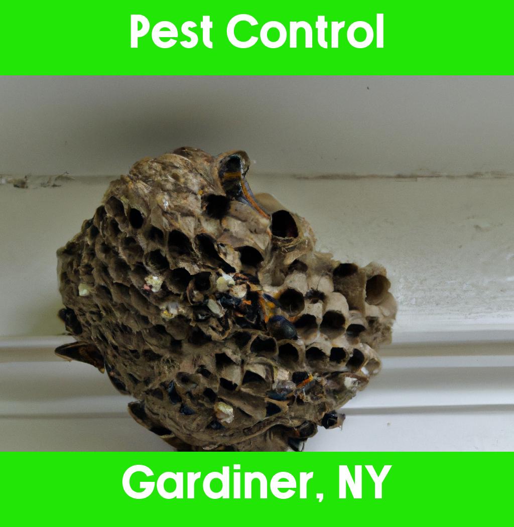 pest control in Gardiner New York