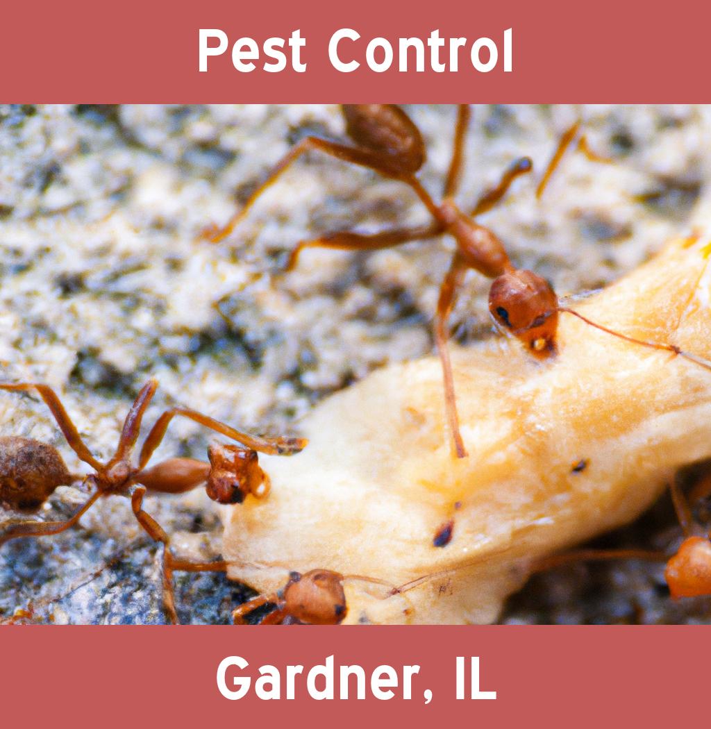 pest control in Gardner Illinois