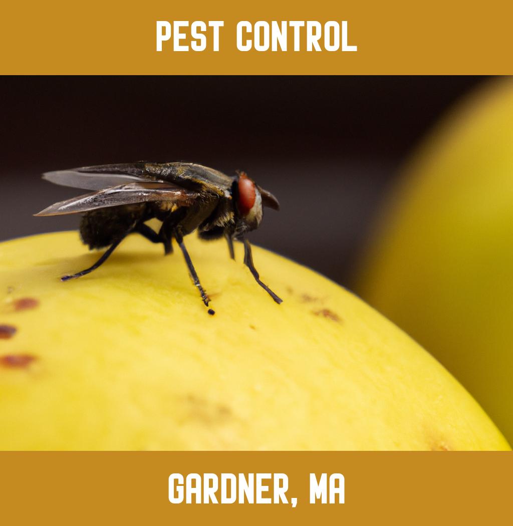pest control in Gardner Massachusetts