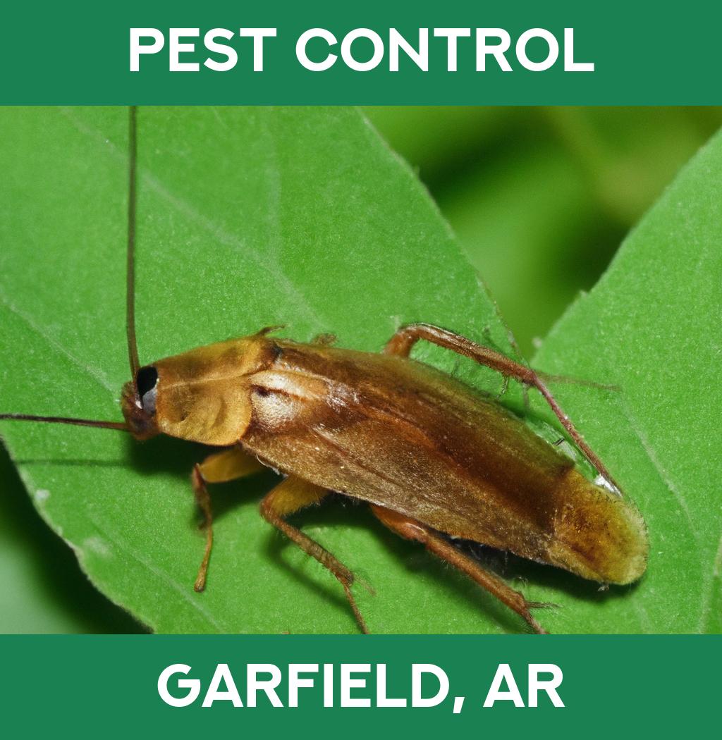 pest control in Garfield Arkansas