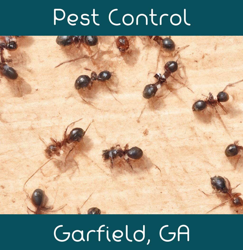 pest control in Garfield Georgia