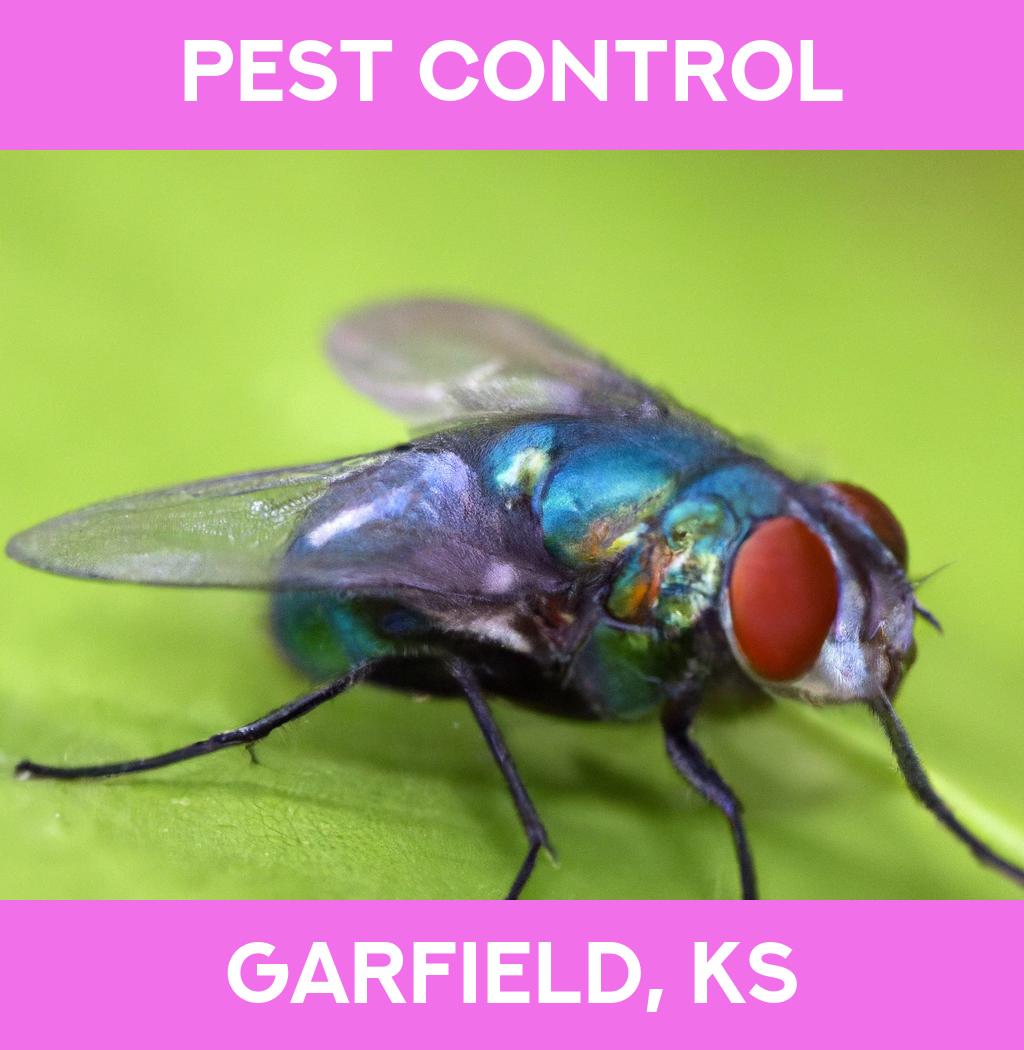 pest control in Garfield Kansas