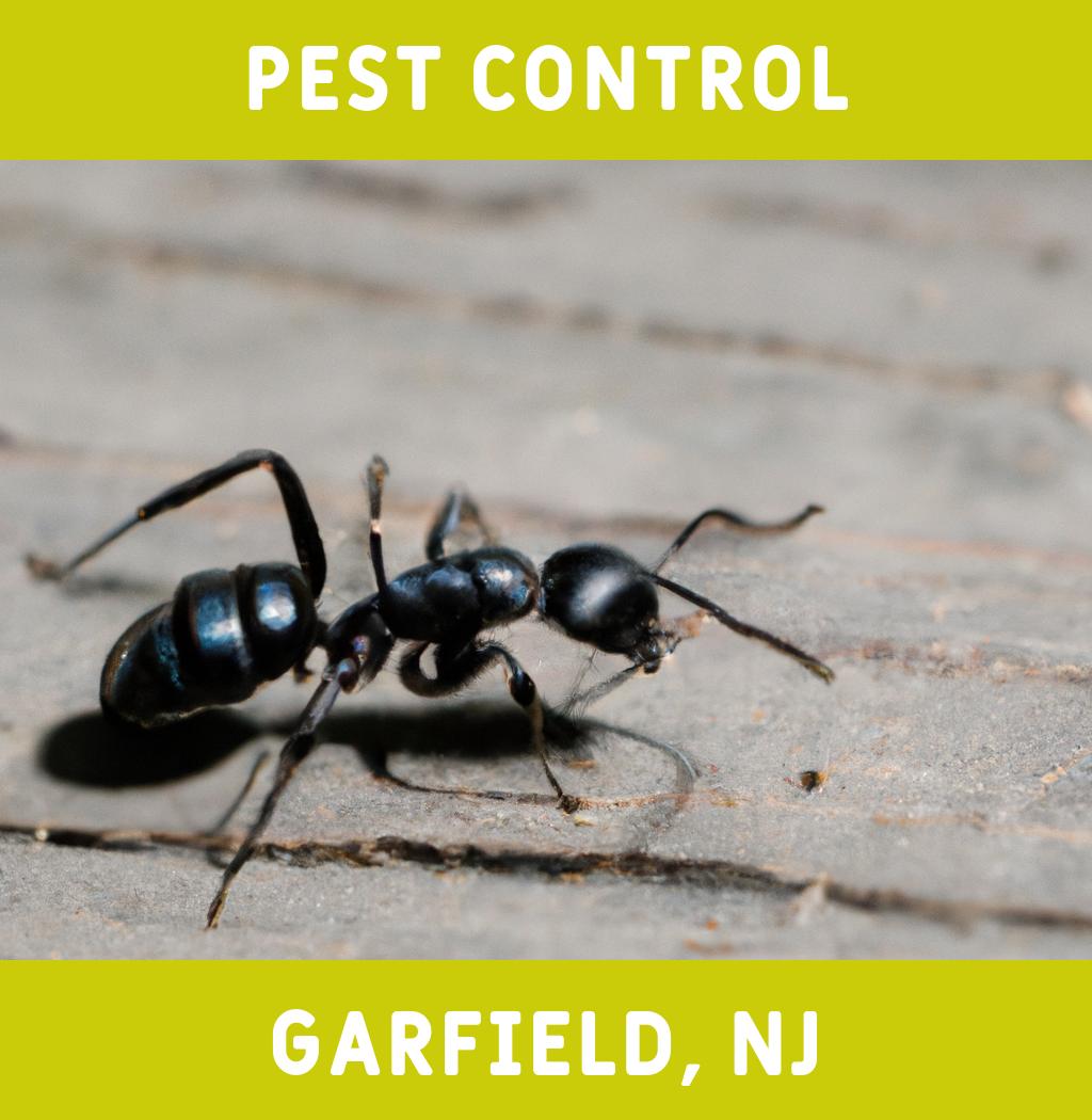 pest control in Garfield New Jersey