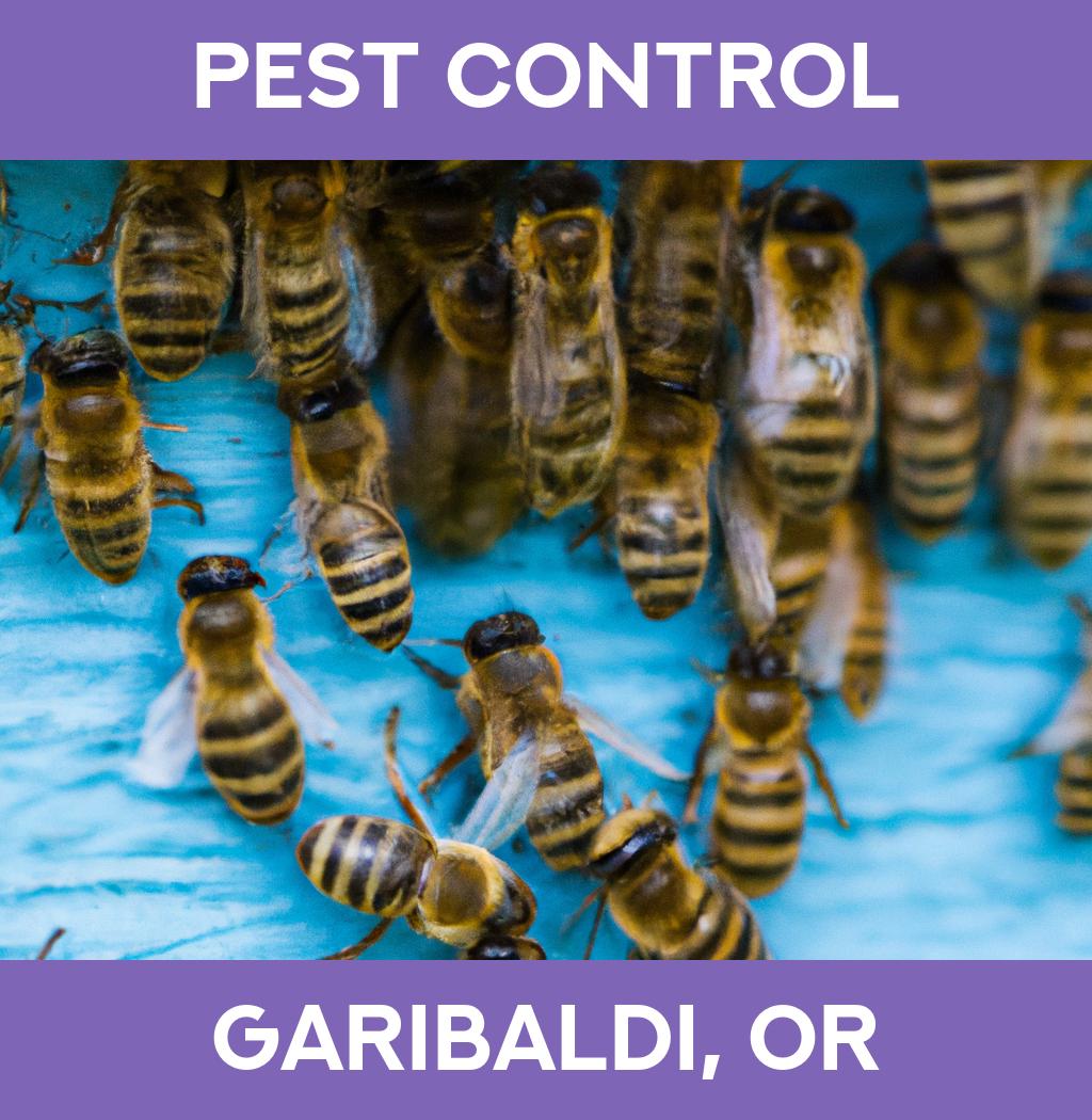 pest control in Garibaldi Oregon
