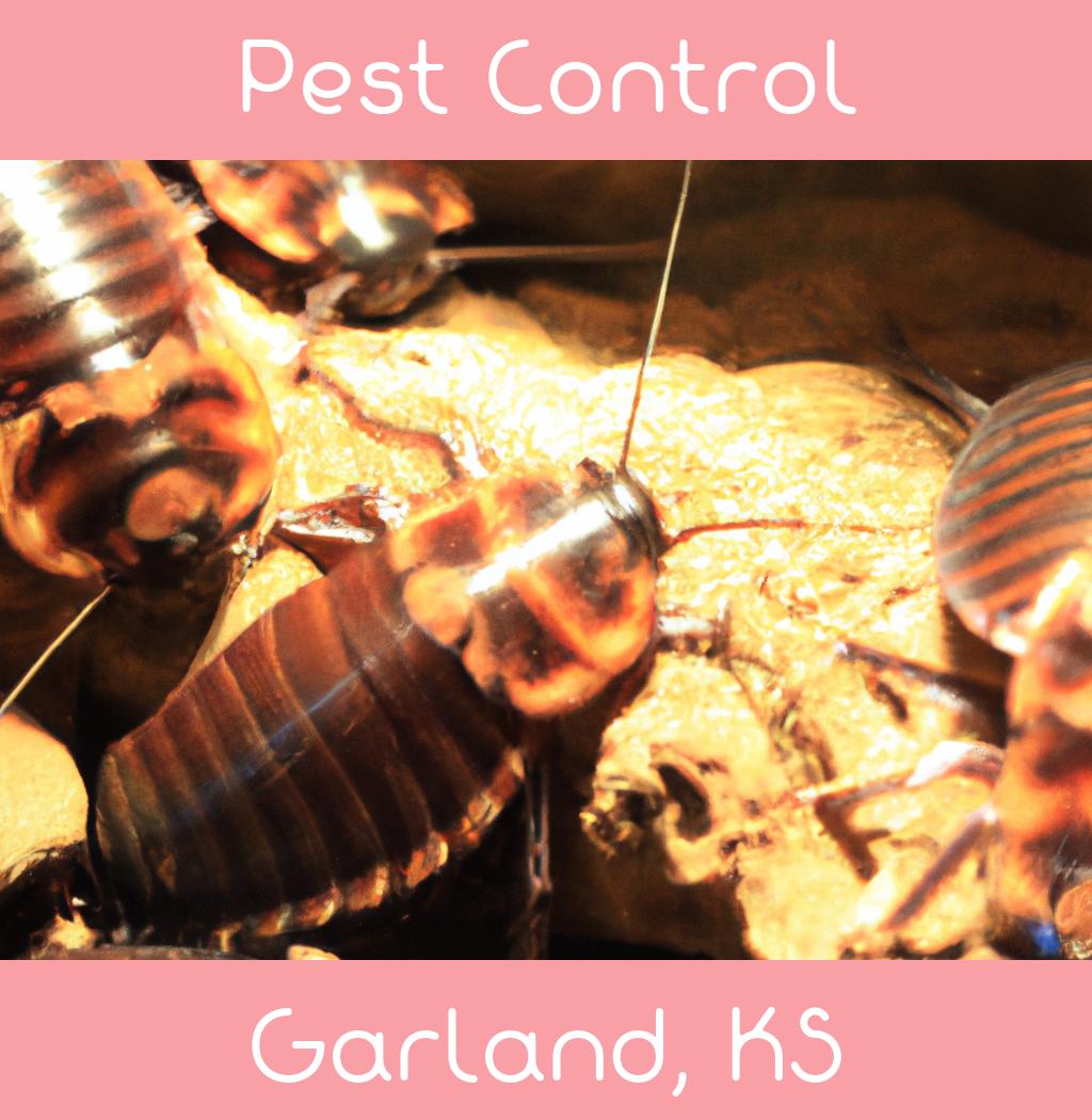 pest control in Garland Kansas