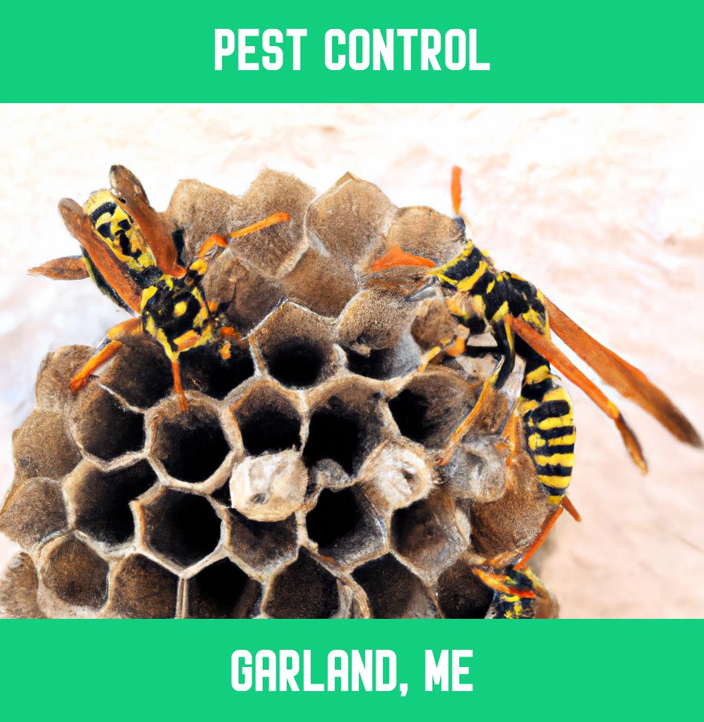 pest control in Garland Maine