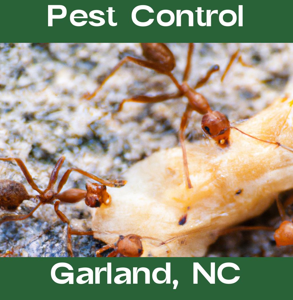 pest control in Garland North Carolina