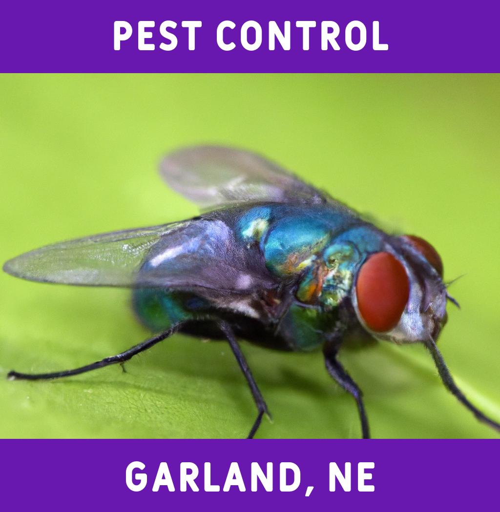 pest control in Garland Nebraska
