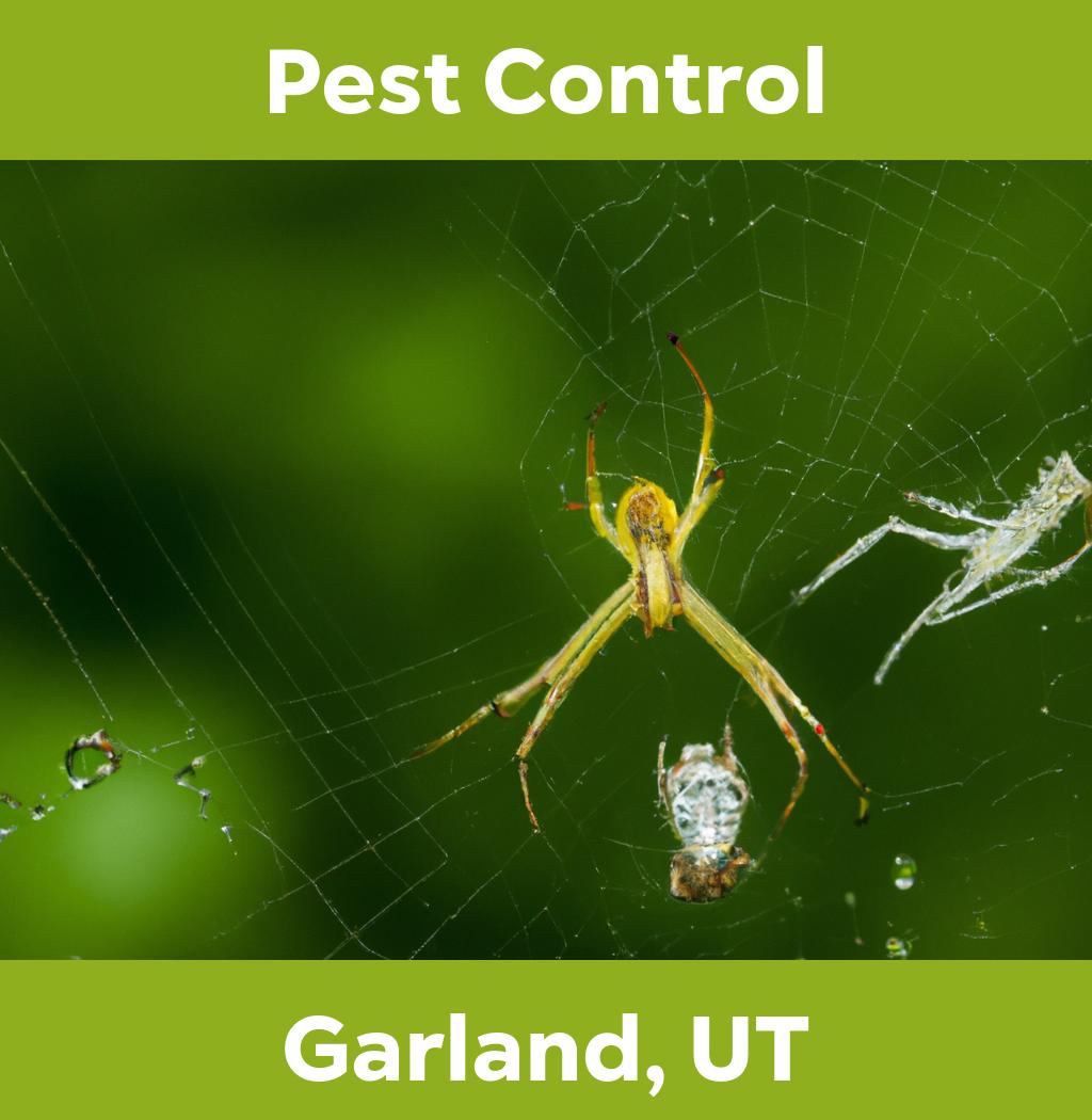 pest control in Garland Utah