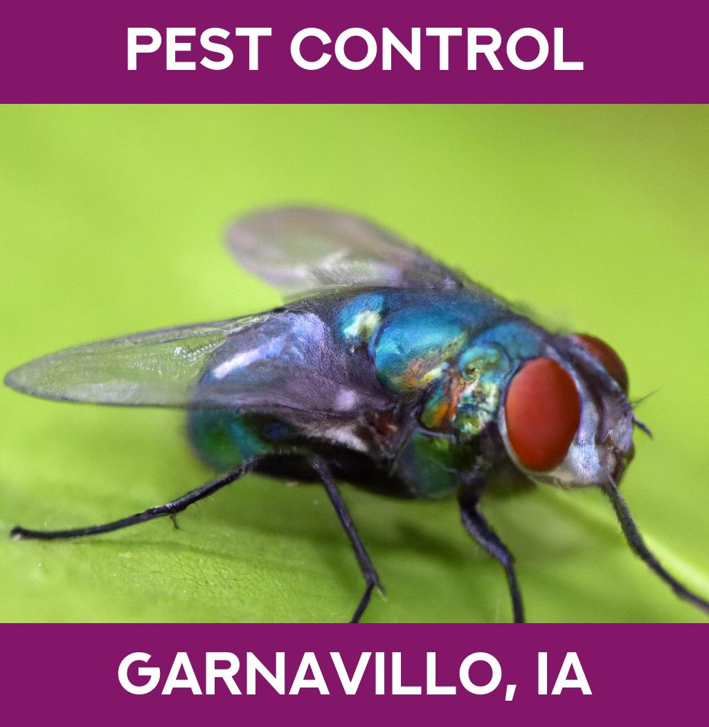 pest control in Garnavillo Iowa