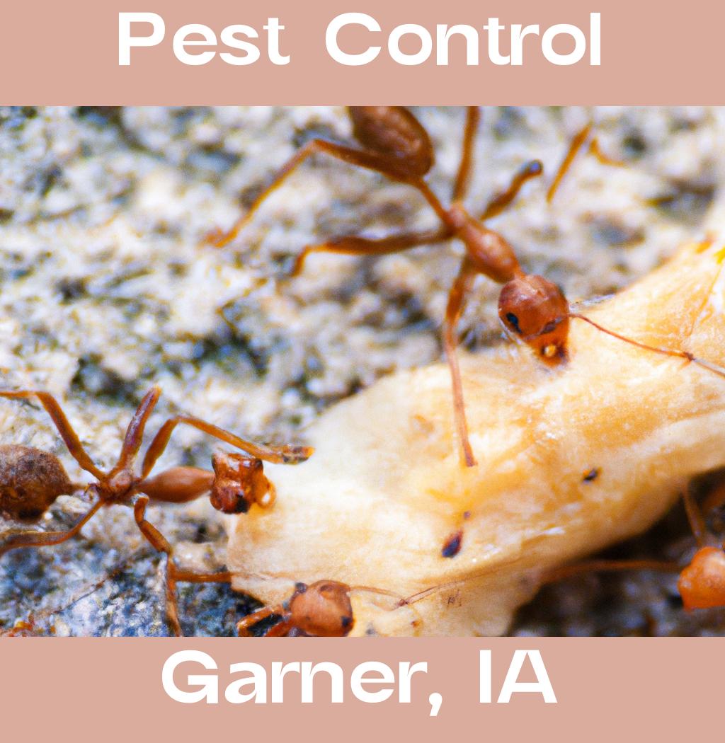 pest control in Garner Iowa