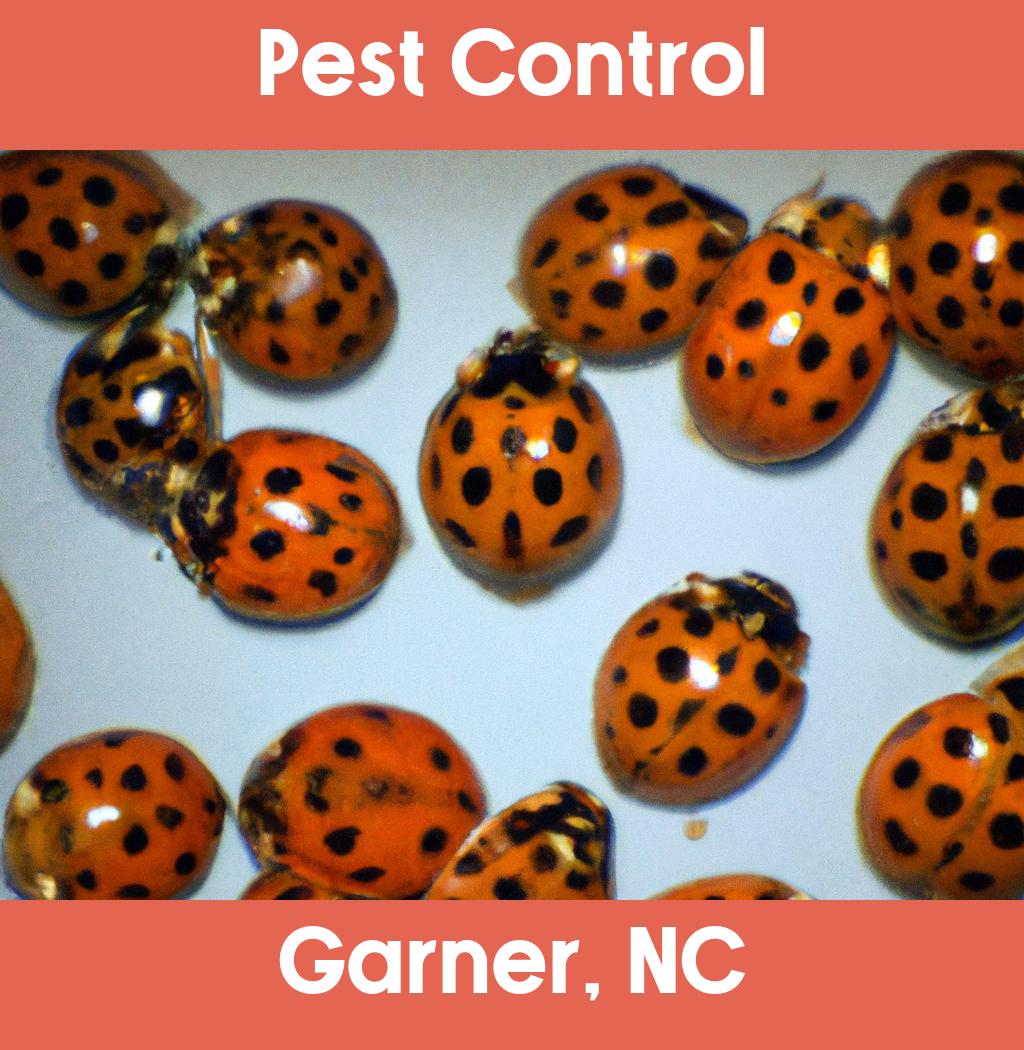 pest control in Garner North Carolina