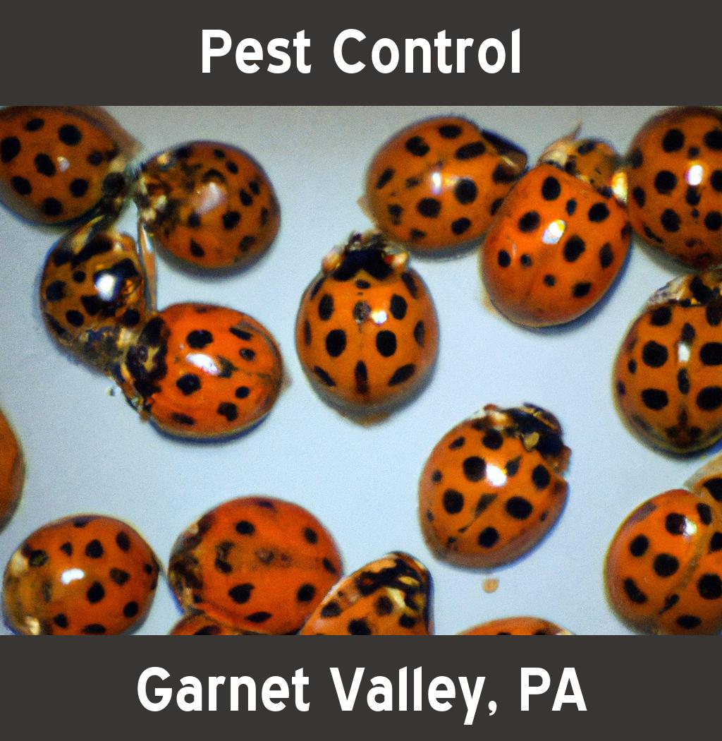 pest control in Garnet Valley Pennsylvania