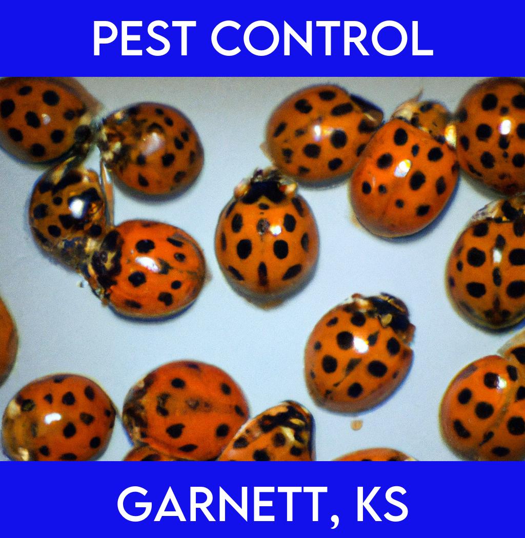 pest control in Garnett Kansas