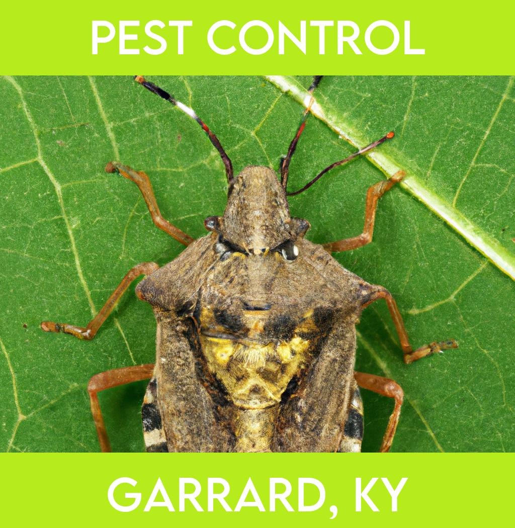 pest control in Garrard Kentucky