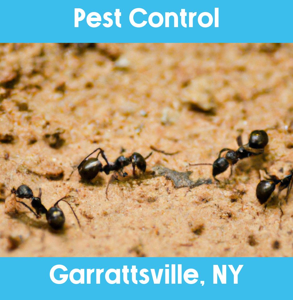 pest control in Garrattsville New York