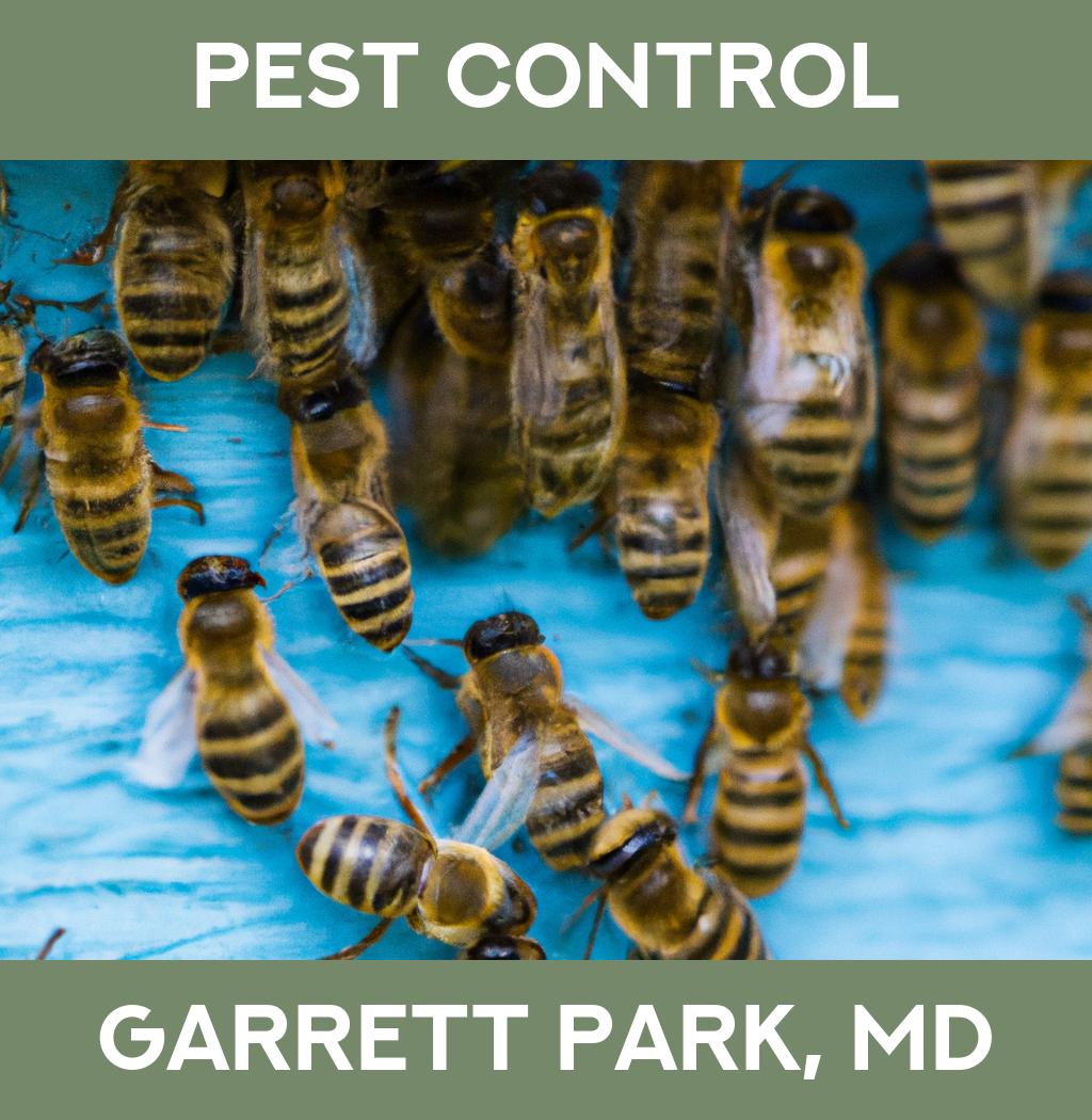 pest control in Garrett Park Maryland