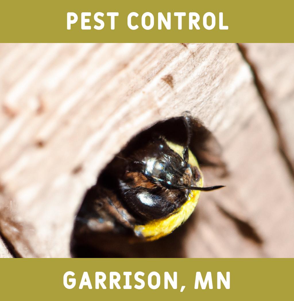 pest control in Garrison Minnesota