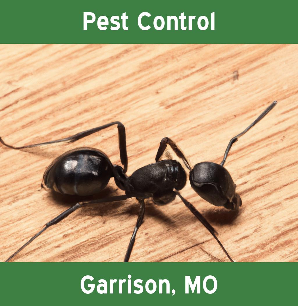pest control in Garrison Missouri
