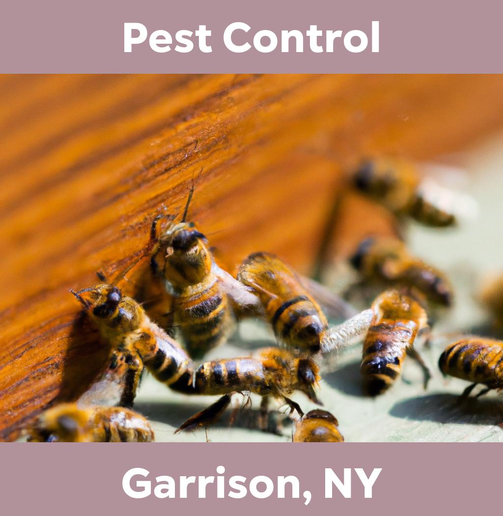 pest control in Garrison New York