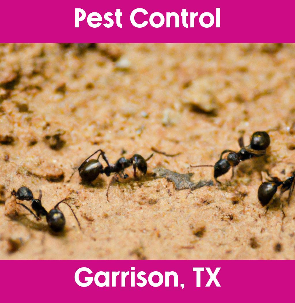 pest control in Garrison Texas