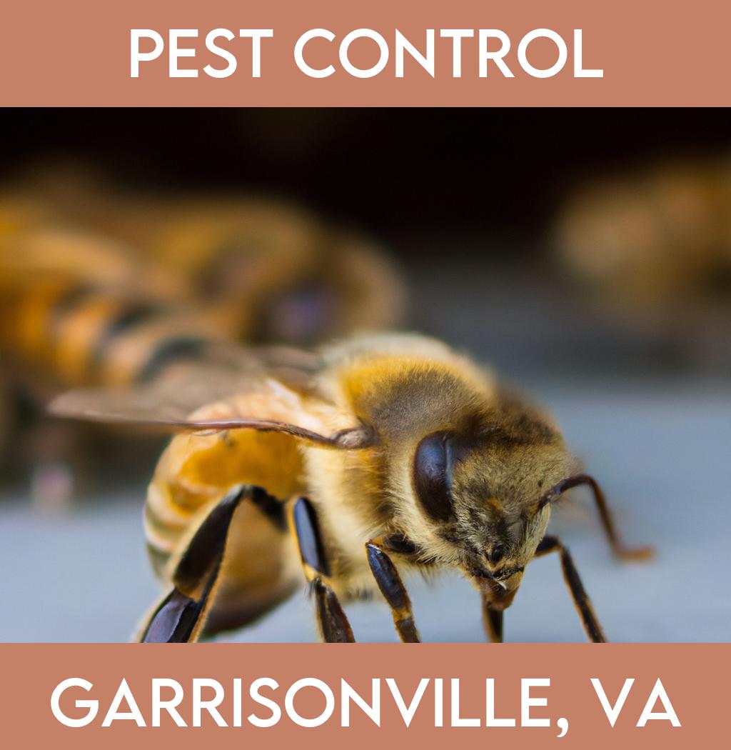 pest control in Garrisonville Virginia