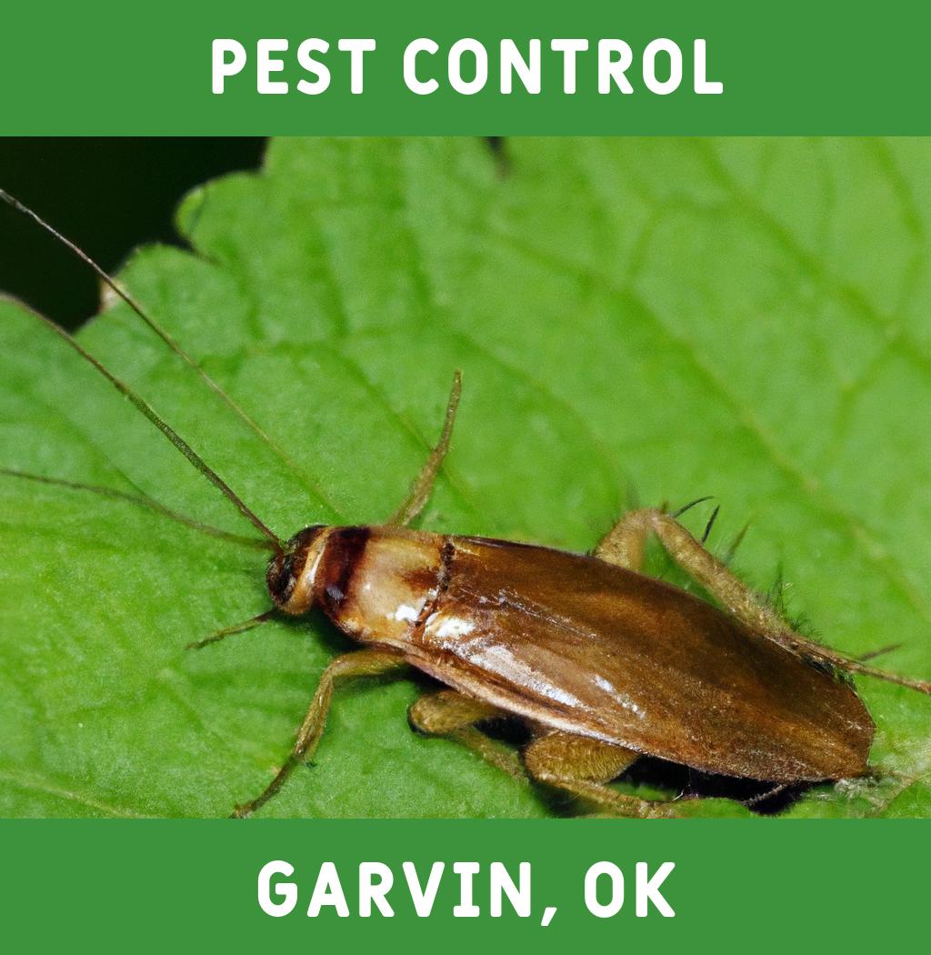 pest control in Garvin Oklahoma