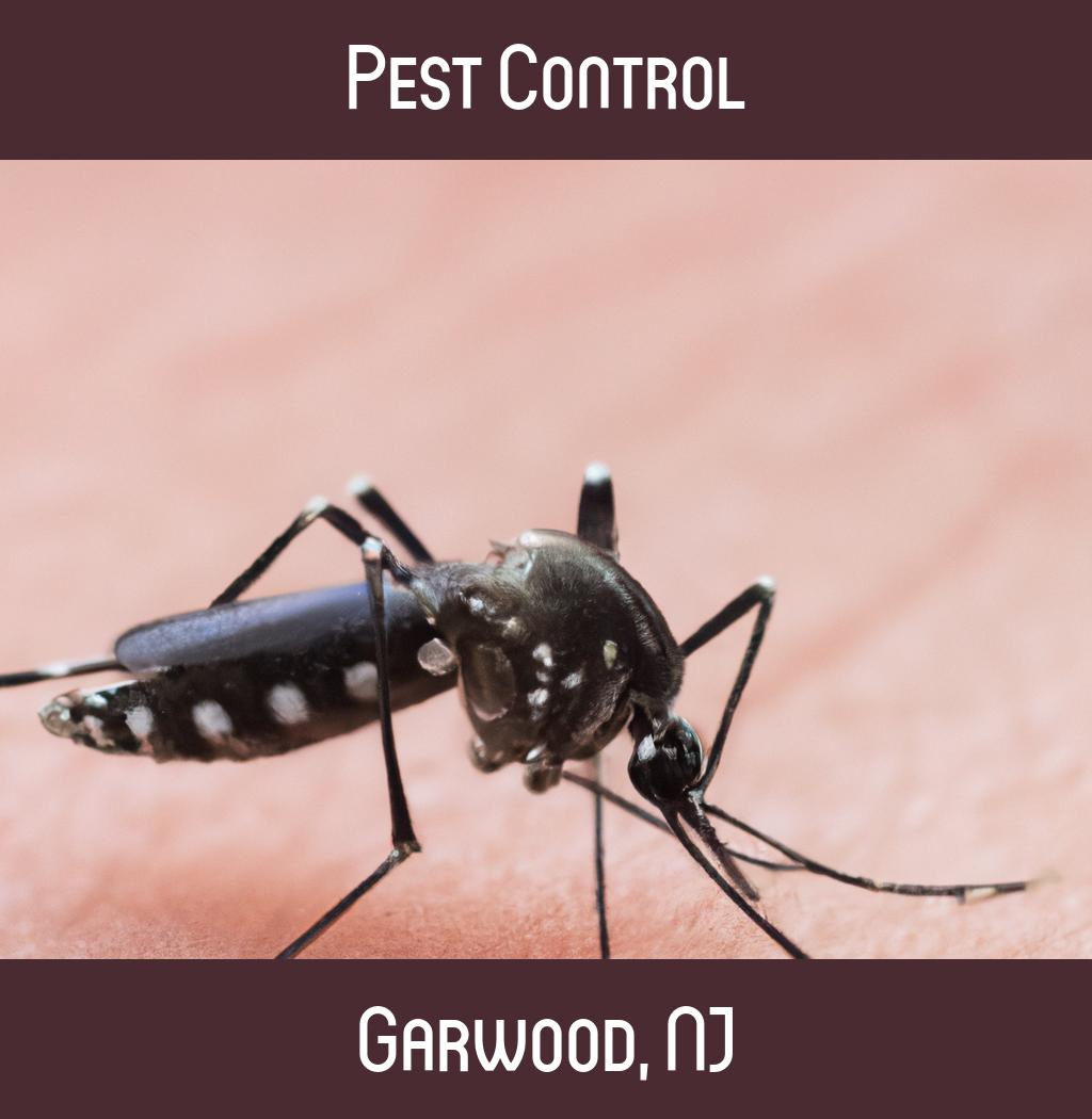 pest control in Garwood New Jersey