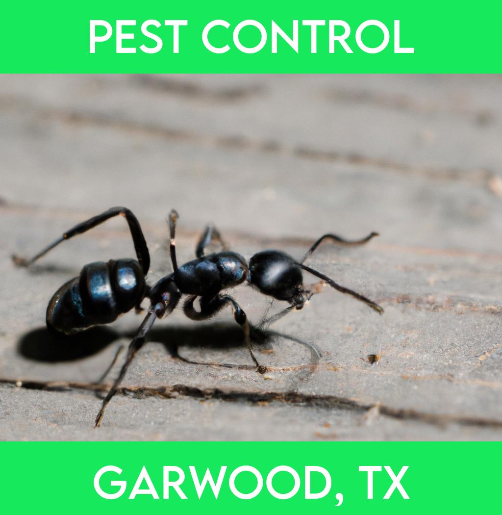 pest control in Garwood Texas